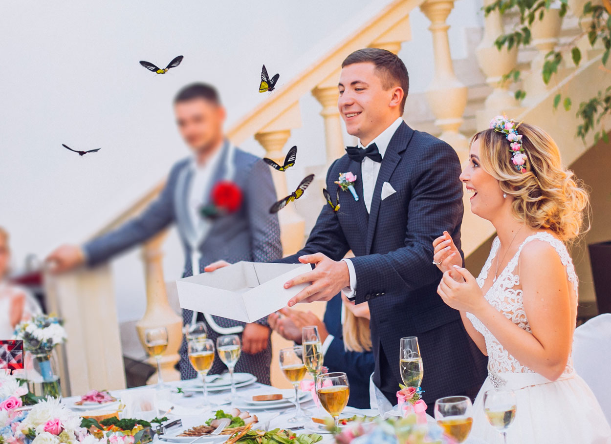 Il Butterfly Wedding